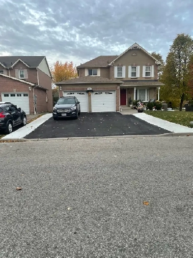 Bright Furnished Room for Rent Image# 1