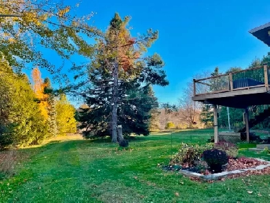 Hobby Farm For Sale- Private Image# 9