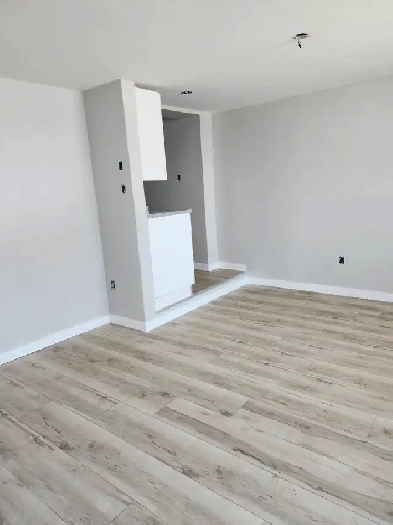 220A King St W - Newly Renovated Studio West, Util incl. Image# 5