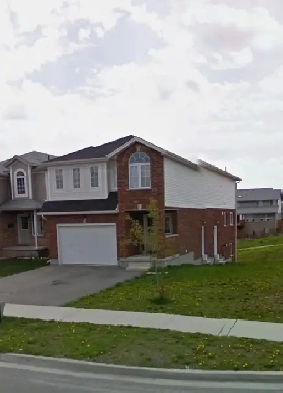 2-Bedroom Walkout Basement Apartment for Rent Available December Image# 1