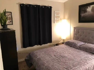 Cozy Room For Rent Image# 1