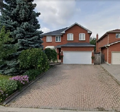 Steels and Middlefiled privaty room for rent (basement) Image# 1