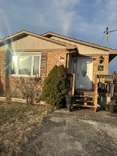 Basement for Rent-Cambridge Image# 1