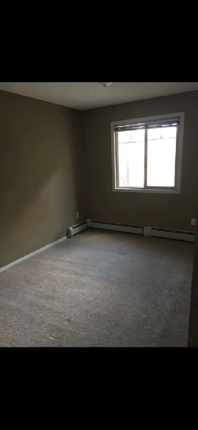 condo 1 bedroom for rent Image# 1