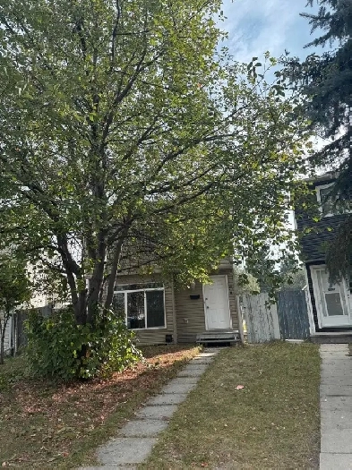 Cozy 1-Bedroom Basement Suite | Private Entrance & Kitchen $900 Image# 1