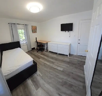 New, single, private & large bedroom near University Image# 8