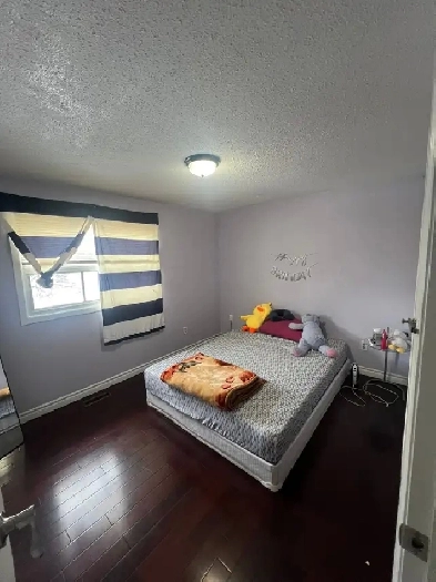 Room available for single girl Image# 1