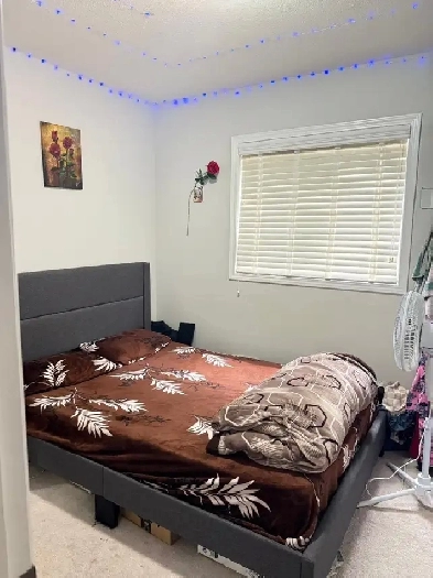 One Room available from Dec 01, 2025 Image# 1