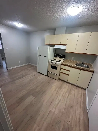 One Bedroom Available now Minnow Lake Image# 4