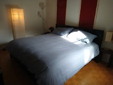 Grand 4 1/2 meublé tout compris sur 2 étages Sous-Location Image# 1