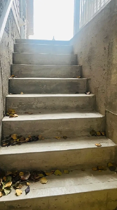 Beautiful newly built Basement suite for Rent in Auburn Bay Image# 1