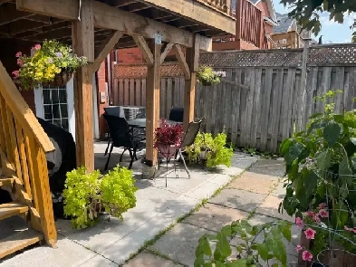 2 bed  Legal Walkout Basement Apartment for lease IN Orangeville Image# 1