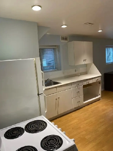 Cozy 1 Bedroom Basement Suite on Quiet Dunlop St Image# 1