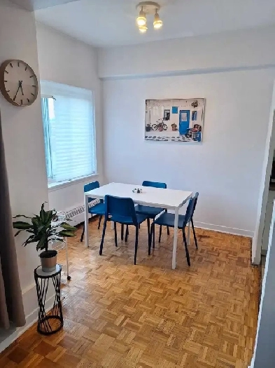 Bright 3 1/2 in NDG Image# 1