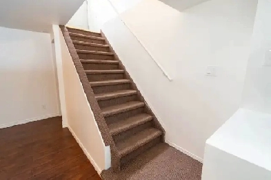 1 Bed 1 Bath Bsmt Pickering @ Dixie & Finch SEPARATE ENTRANCE Image# 1