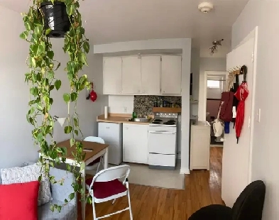 2 1/2  Plateau, closed bedroom, furnished. Image# 4