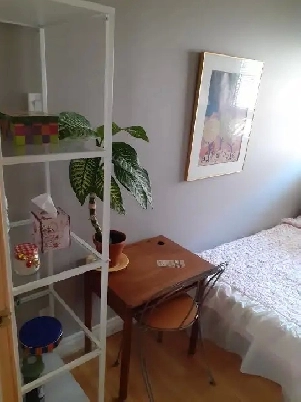 Single occupancy bedroom for rent in North Etobicoke. Image# 1