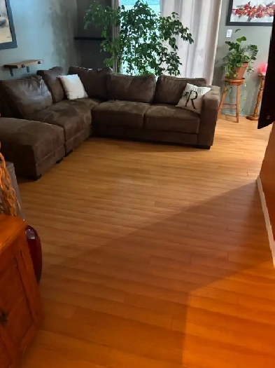 Beau 4 ½ (Décembre et/ou Janvier) @ Vanier Image# 1