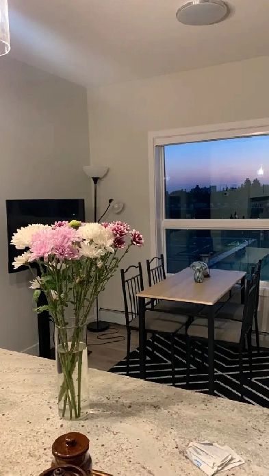 1 Bedroom   Foyer & 1 bathroom for rent Image# 1