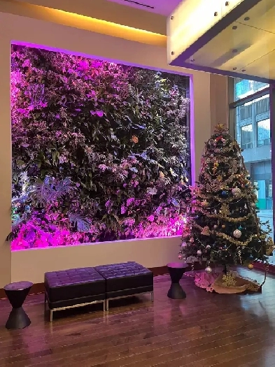 A Modern Condo Image# 1