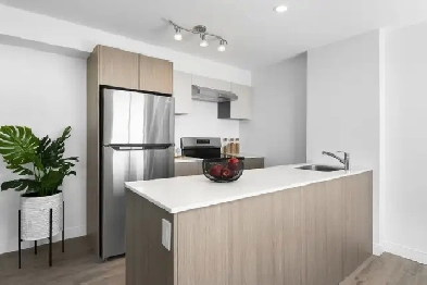 Condo Style Modern 1 Bed   Den Apartment for Rent - Brampton Image# 1