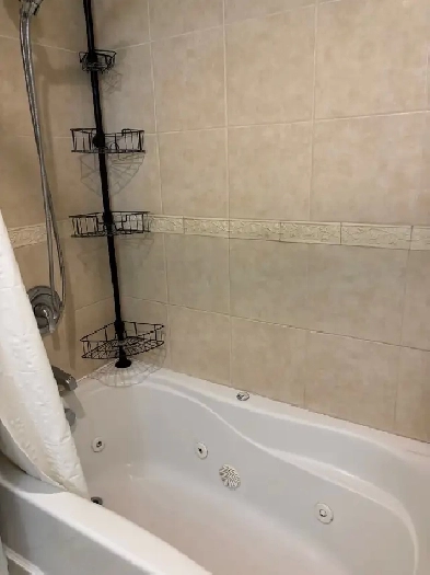 Alliston 1 bedroom  Available for Nov-December $1150 incl. Image# 1