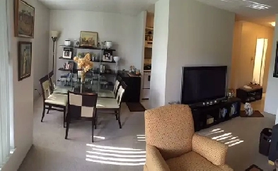 NOW Fully Furnished Apt Downtown 3 ½   All Included LaCite Image# 4