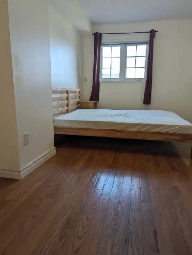 Large Bright 2nd flr Room Private Bath Parking @York University Image# 1