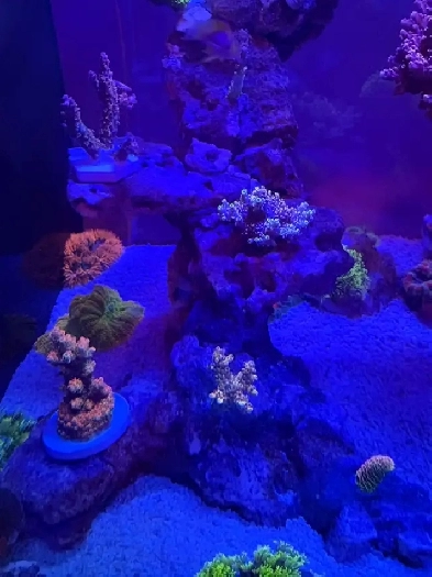 basement room for rent Image# 7