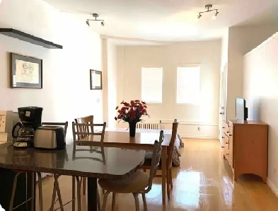 Open concept Bachelor apartment Image# 1