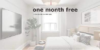 Renovated Bachelor, Queen and Bathurst - ID 4178 Image# 1