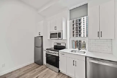 BRAND NEW 2 Bedroom Apartment! Available December 1st! Image# 3