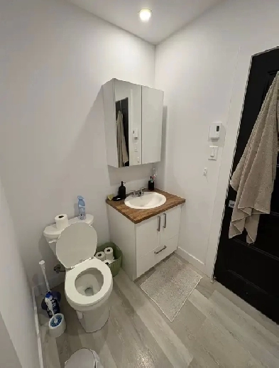 Reprise de bail -  Spacieux 4 ½ lumineux à louer (chat accepté) Image# 1