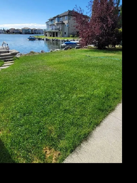 Rental Lake Suite - 1600$ All Utilities Free Image# 1