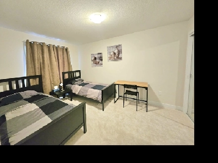 Beautiful Room for Rent-Fully Furnished Image# 1