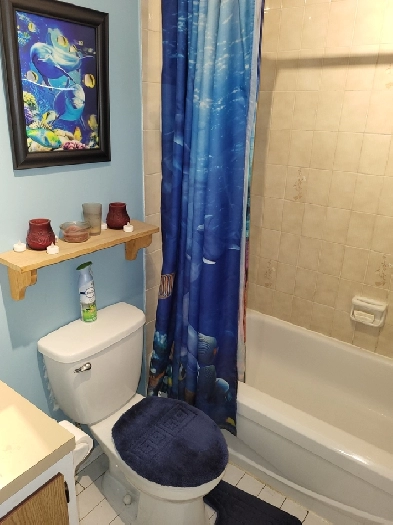 Chambre à louer prêt du Cégep André Laurendeau à LaSalle Image# 1