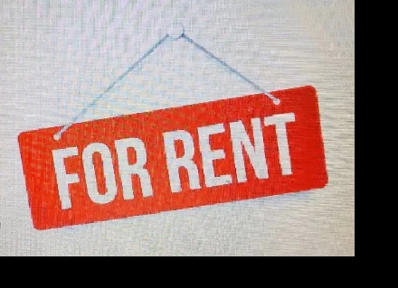 2 bedroom basement apartment Image# 1