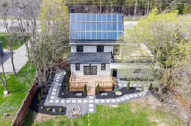 Room For Rent - Close to University and College Image# 1