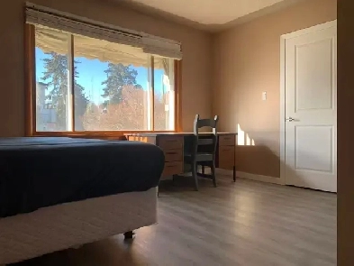 Spacious Rooms in Banff Trail for Rent close to UC/SAIT Image# 1
