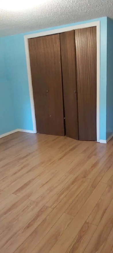 Room For Rent in Millwoods! Image# 1