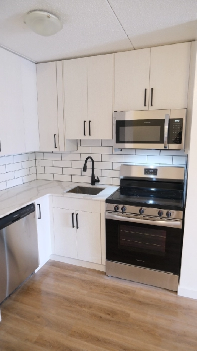 1-Bedroom Apartment Suite for Rent Available December 1st Image# 4