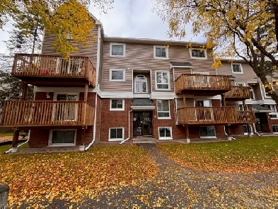 2 Bedroom, 2 Level - Condo For Rent - Kanata... close to HWY! Image# 8