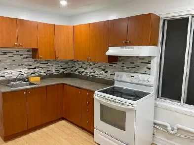 Très beau et grand 5 1/2 libre, Rez-de chaussé, Près UdM Image# 1