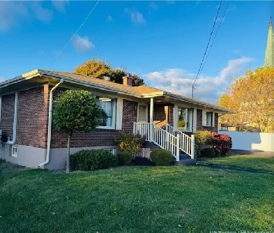 3 bedroom house for rent Image# 11