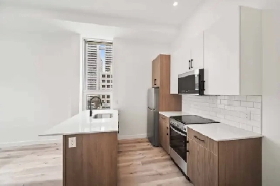 BRAND NEW 1 Bedroom Apartment! In the Heart of Downtown! Image# 2