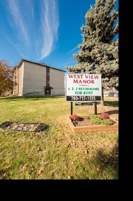 1 Bedroom 1 Bath - Apartment for Rent Image# 11