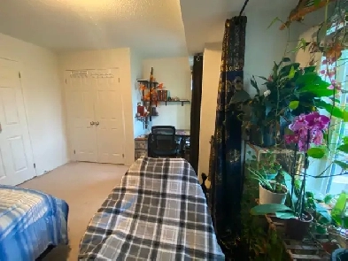 Room for Rent near Ontario Tech University and Durham College Image# 1