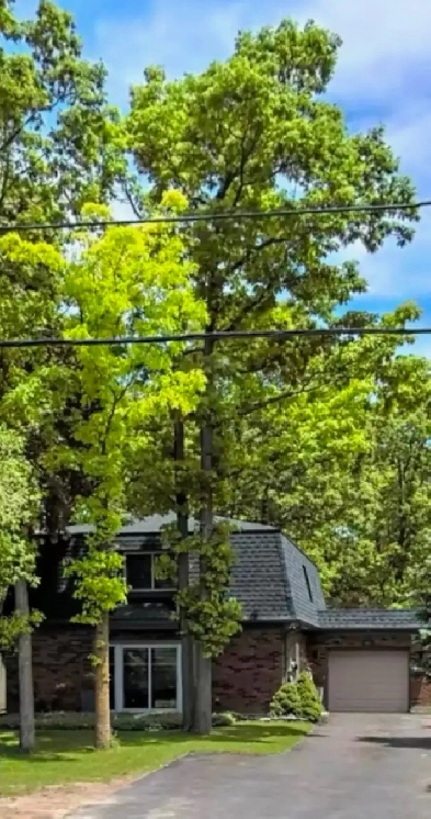 House for Rent - Coming Soon Image# 1