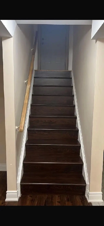 one bedroom basement Image# 1