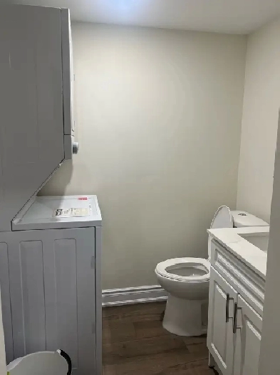 One bedroom in 3 bedroom basement Image# 1